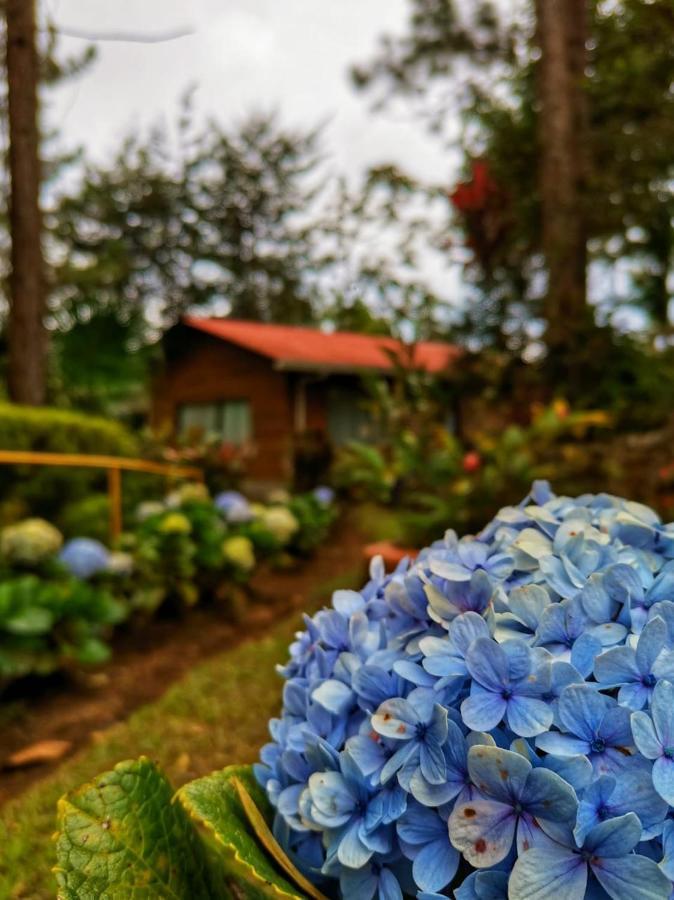 Vista Turrialba Lodge Bagian luar foto