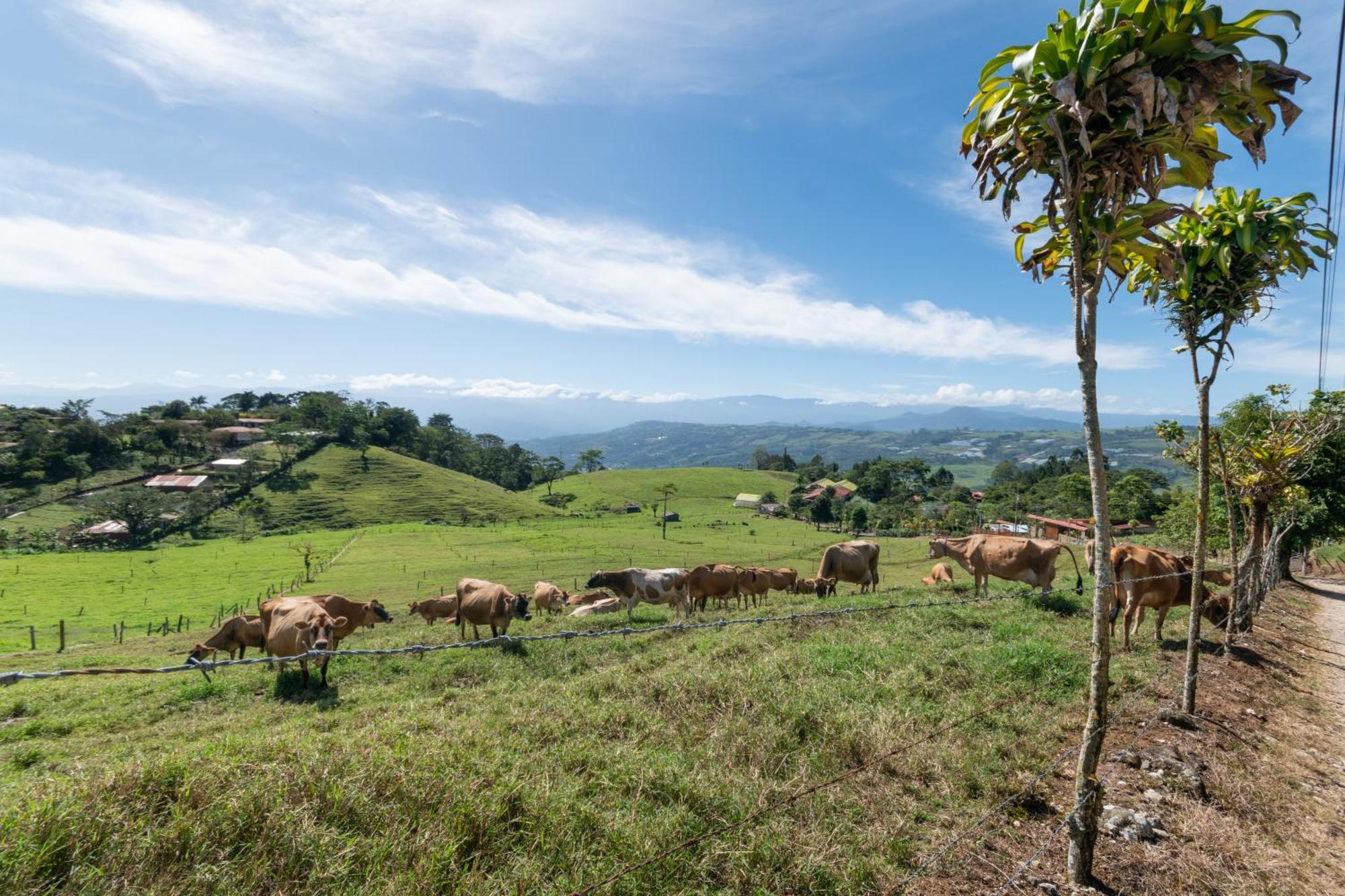 Vista Turrialba Lodge Bagian luar foto